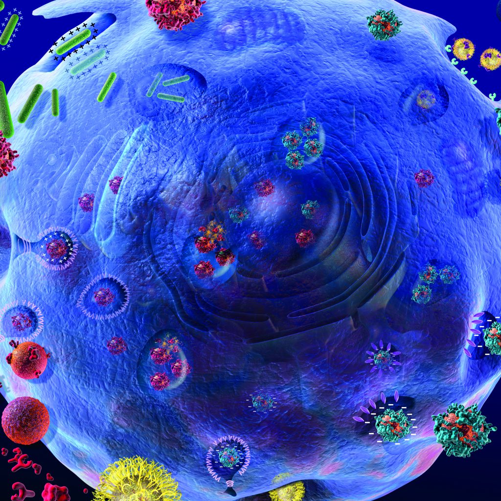 Art picturing the anatomy of a cell