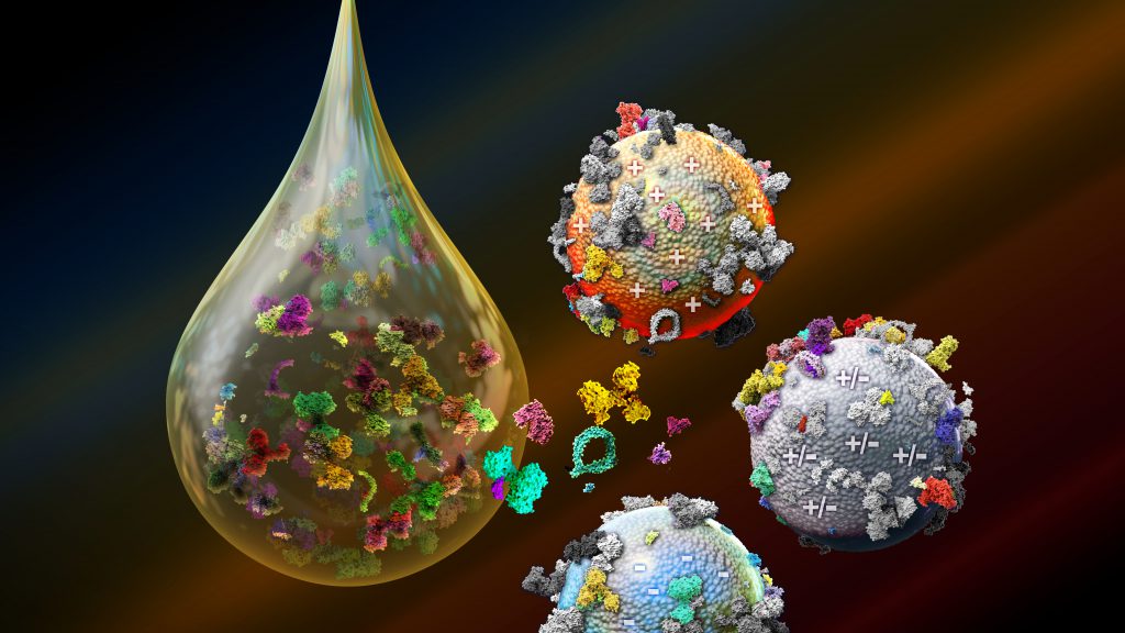 Art picturing a water droplet next to biomolecules